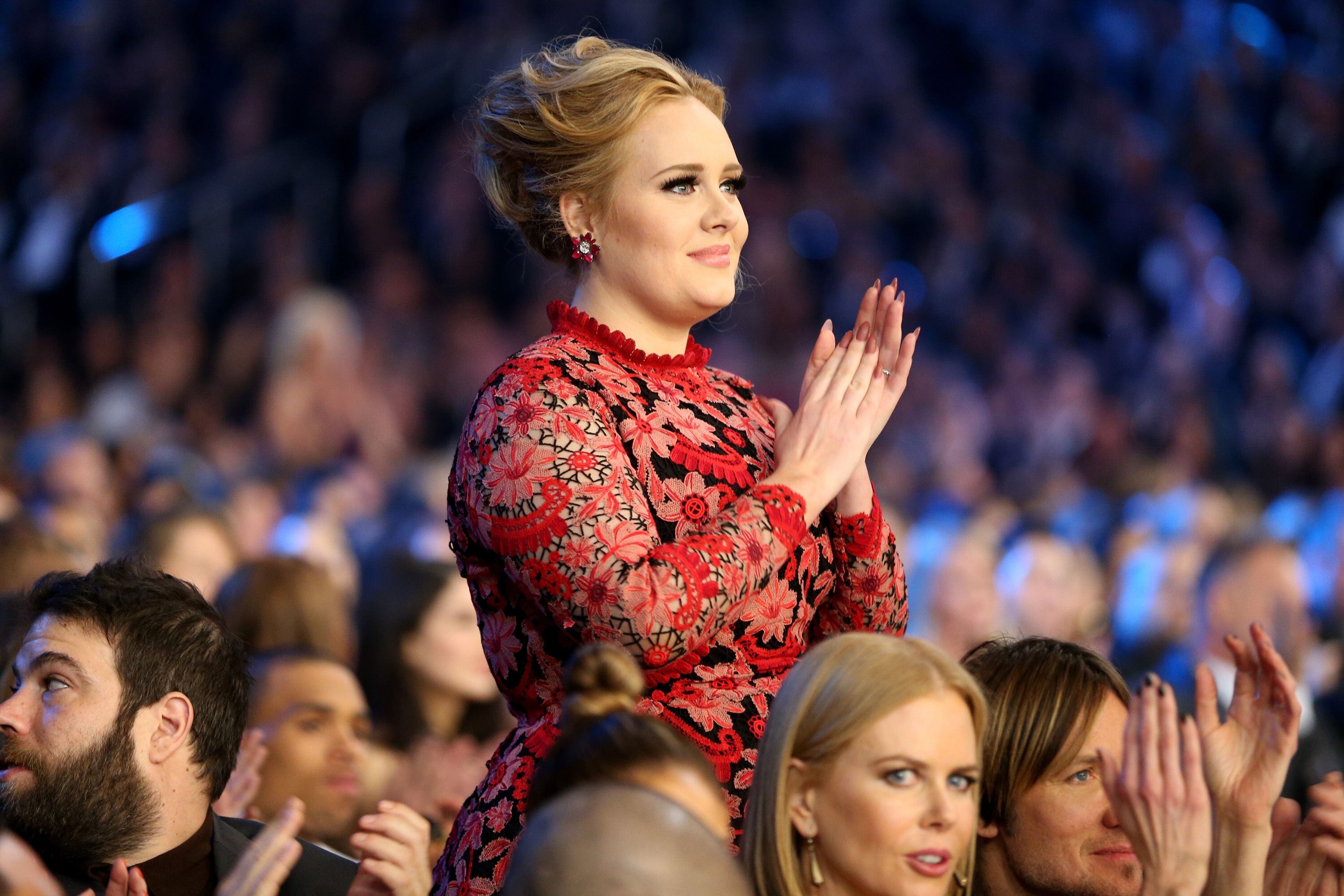 Adele halts Las Vegas concert to defend fan against security guards