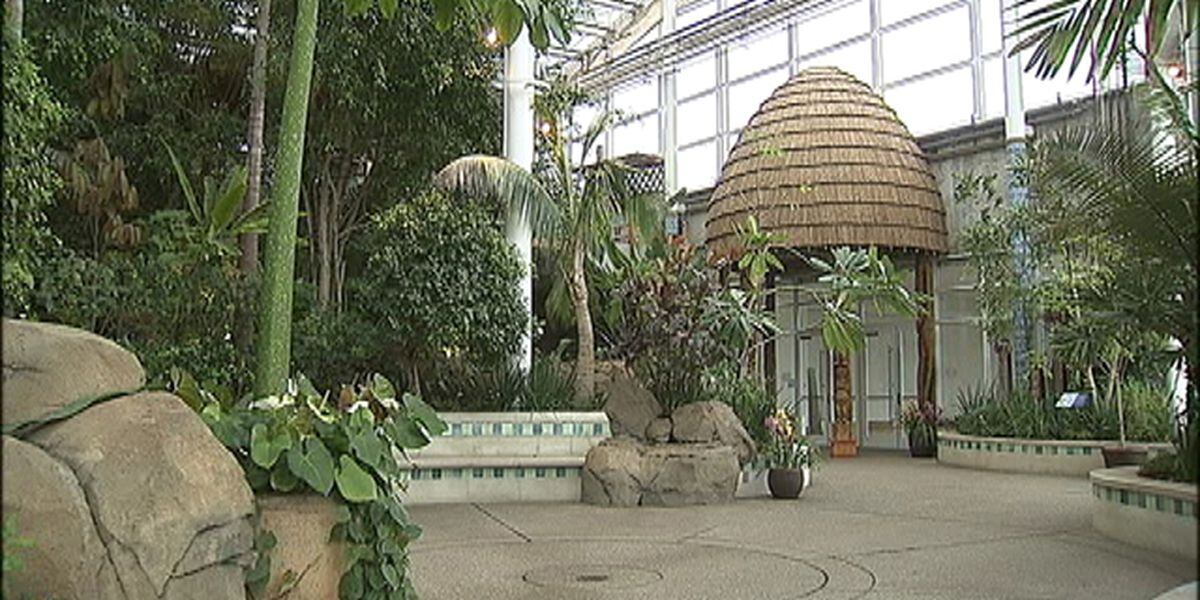 What Are The Hours For Pittsburgh S Botanical Gardens