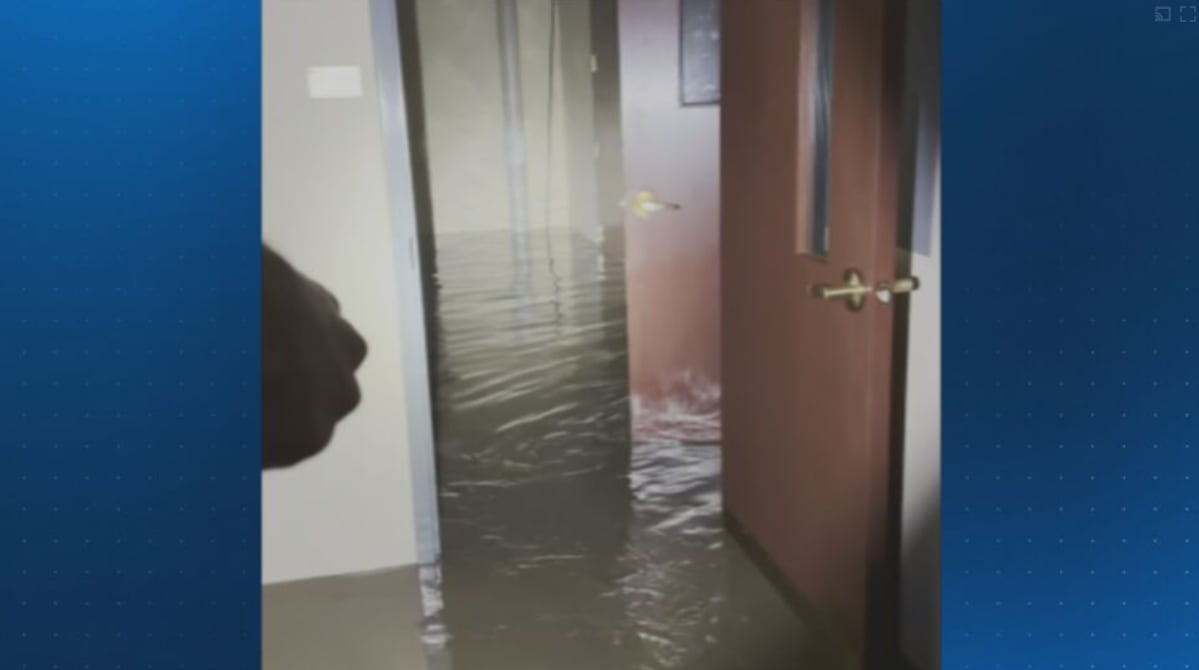 Oakmont Carnegie Library Closed Due to Severe Flooding, Cleanup Underway