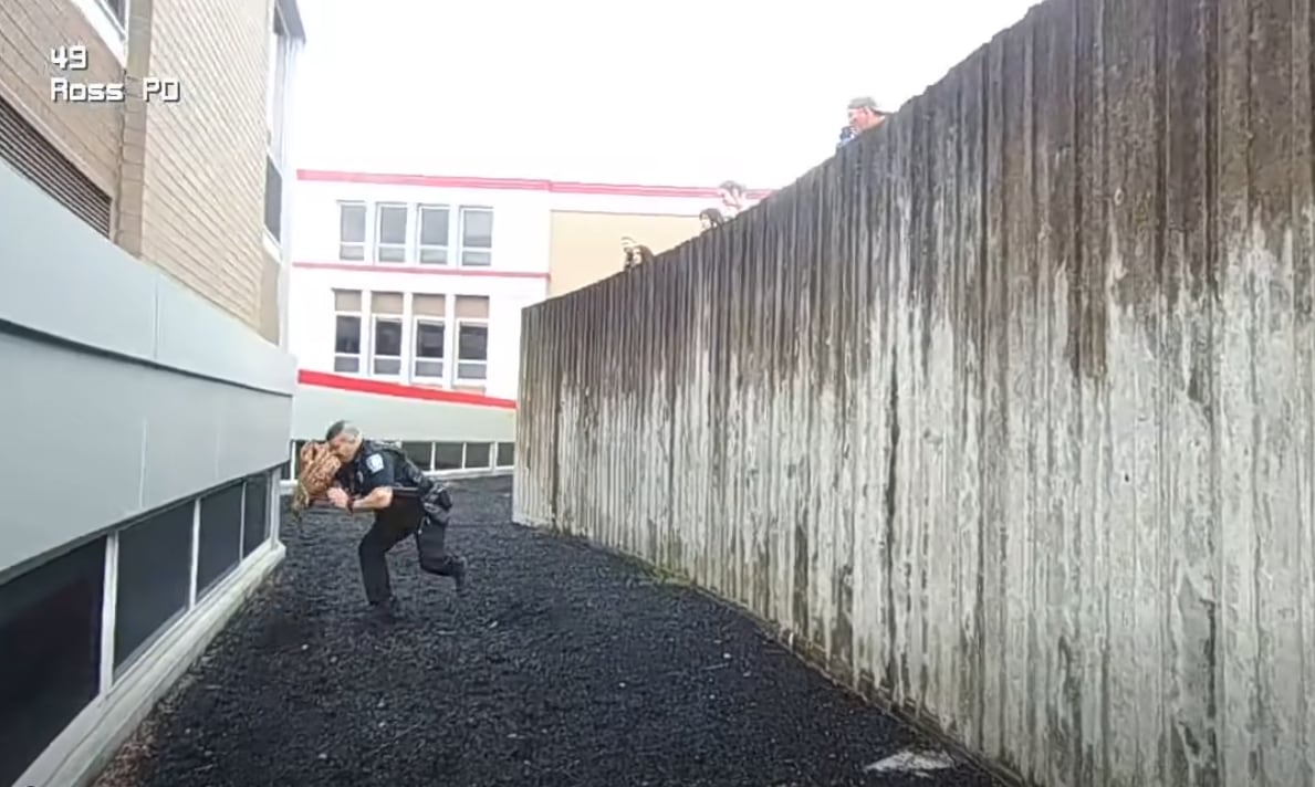 Ross Township Police rescue fawn that jumped over retaining wall at North Hills High School