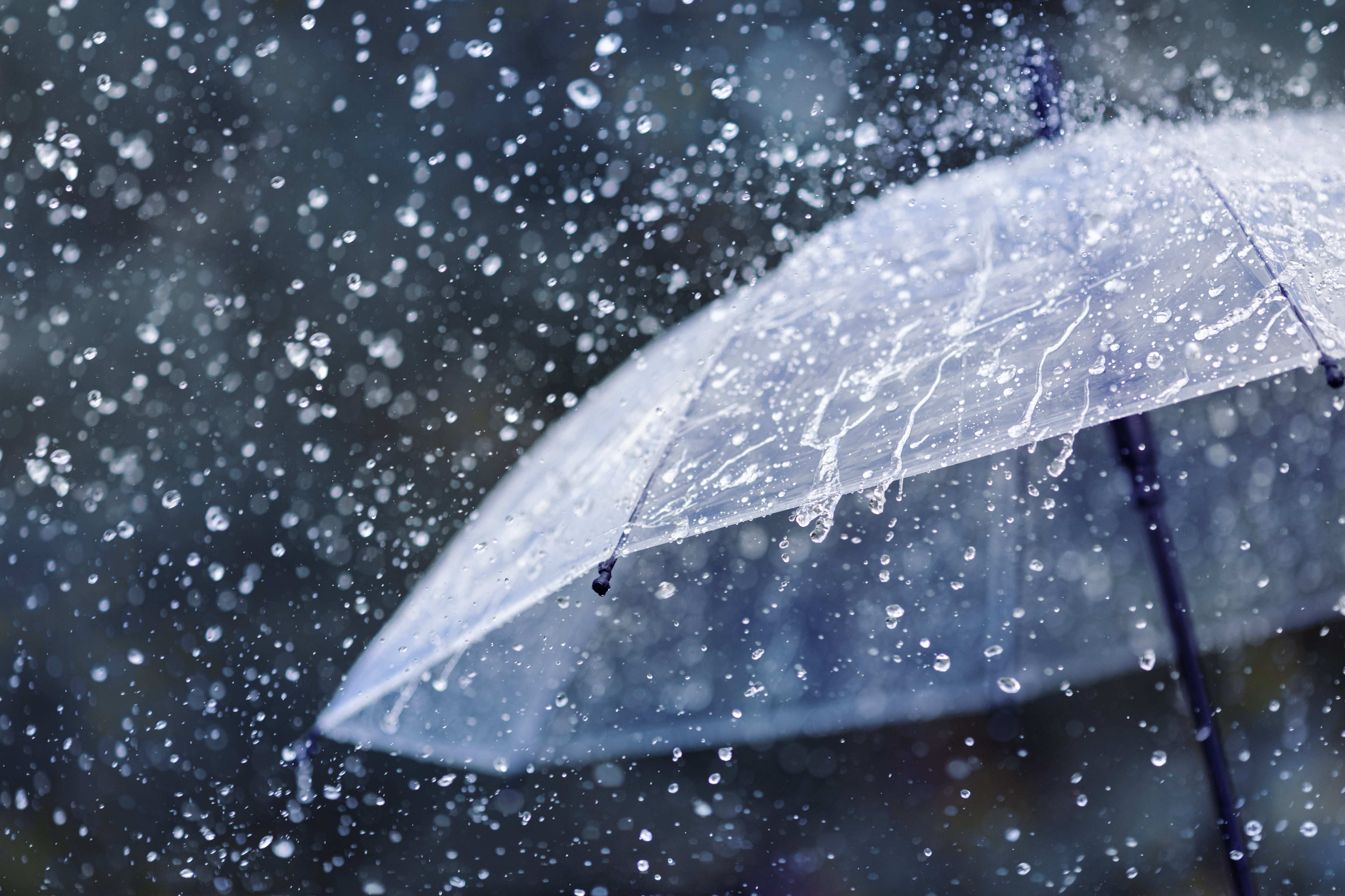 Pittsburgh Braces for Scattered Showers and Thunderstorms, Potential for Localized Flooding