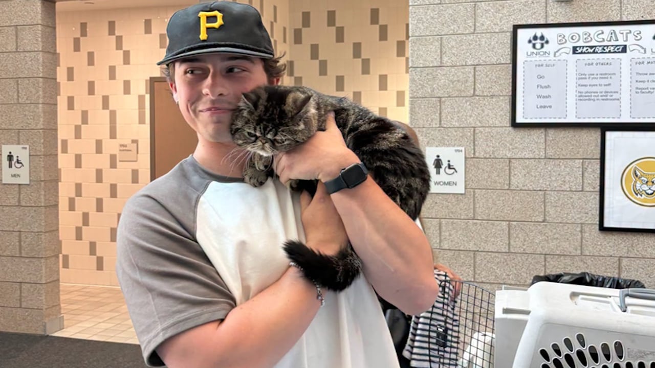 Cat Rescued After 72 Hours in Fire-Damaged Midvale Apartment Complex