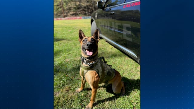 McKees Rocks K9 wins competition, will be featured in national calendar