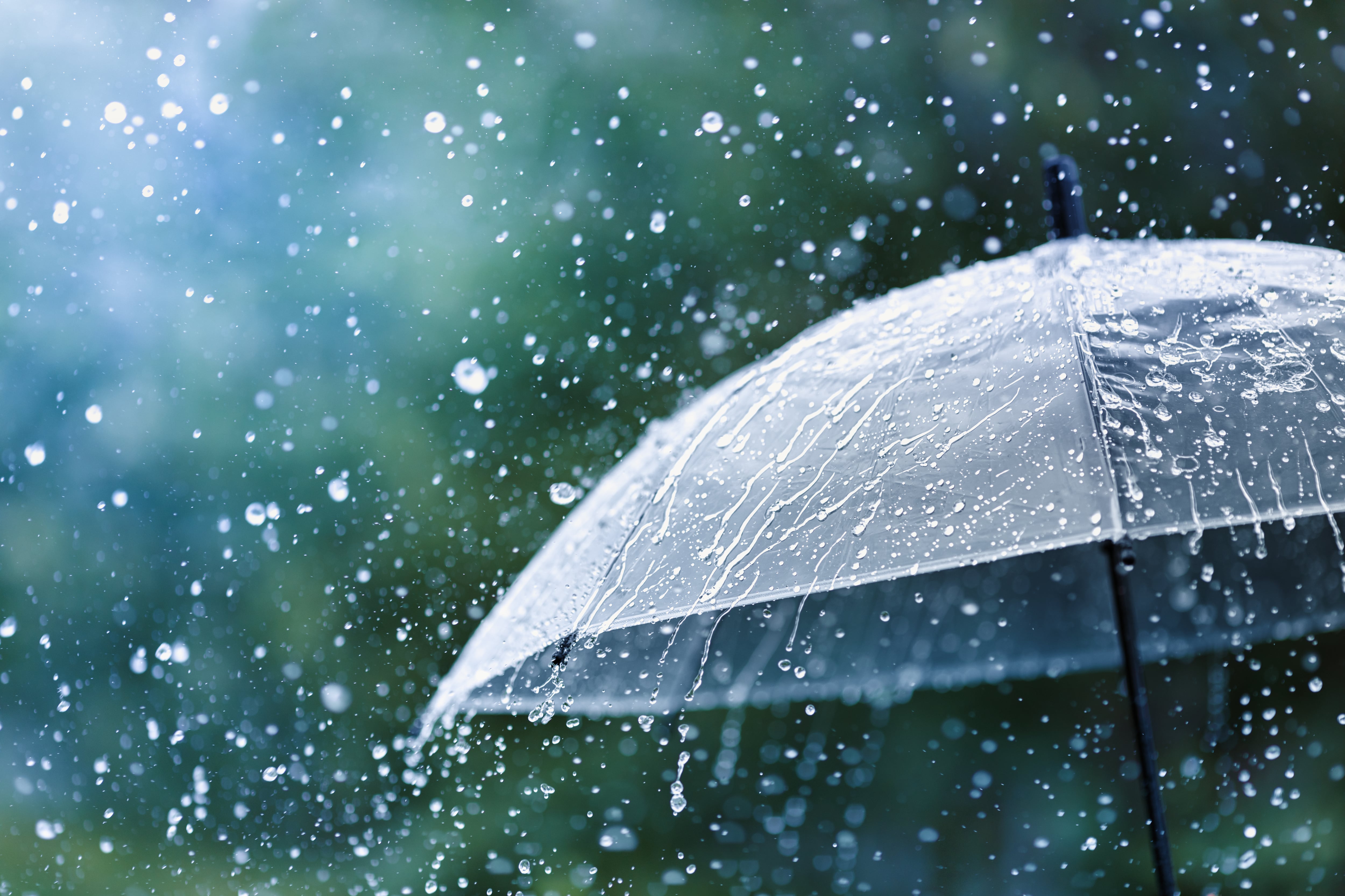 Damp at times Wednesday with scattered showers and thunder possible
