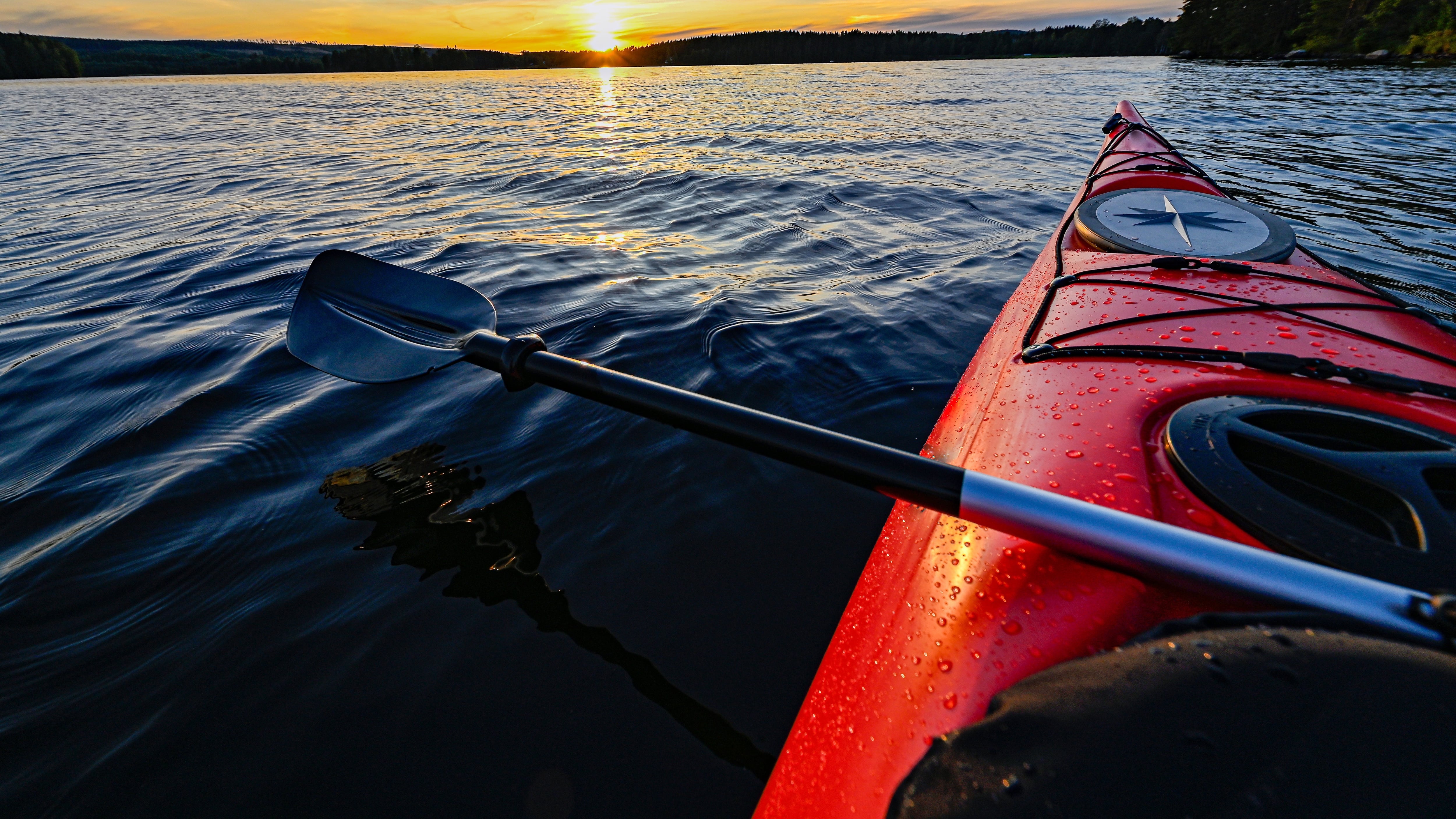 Virginia High School Golfers Rescue Family from Capsized Kayaks