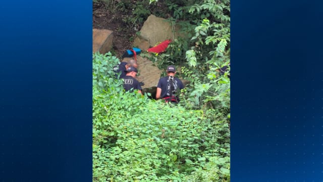 Person rescued after falling off cliff in Lawrence County