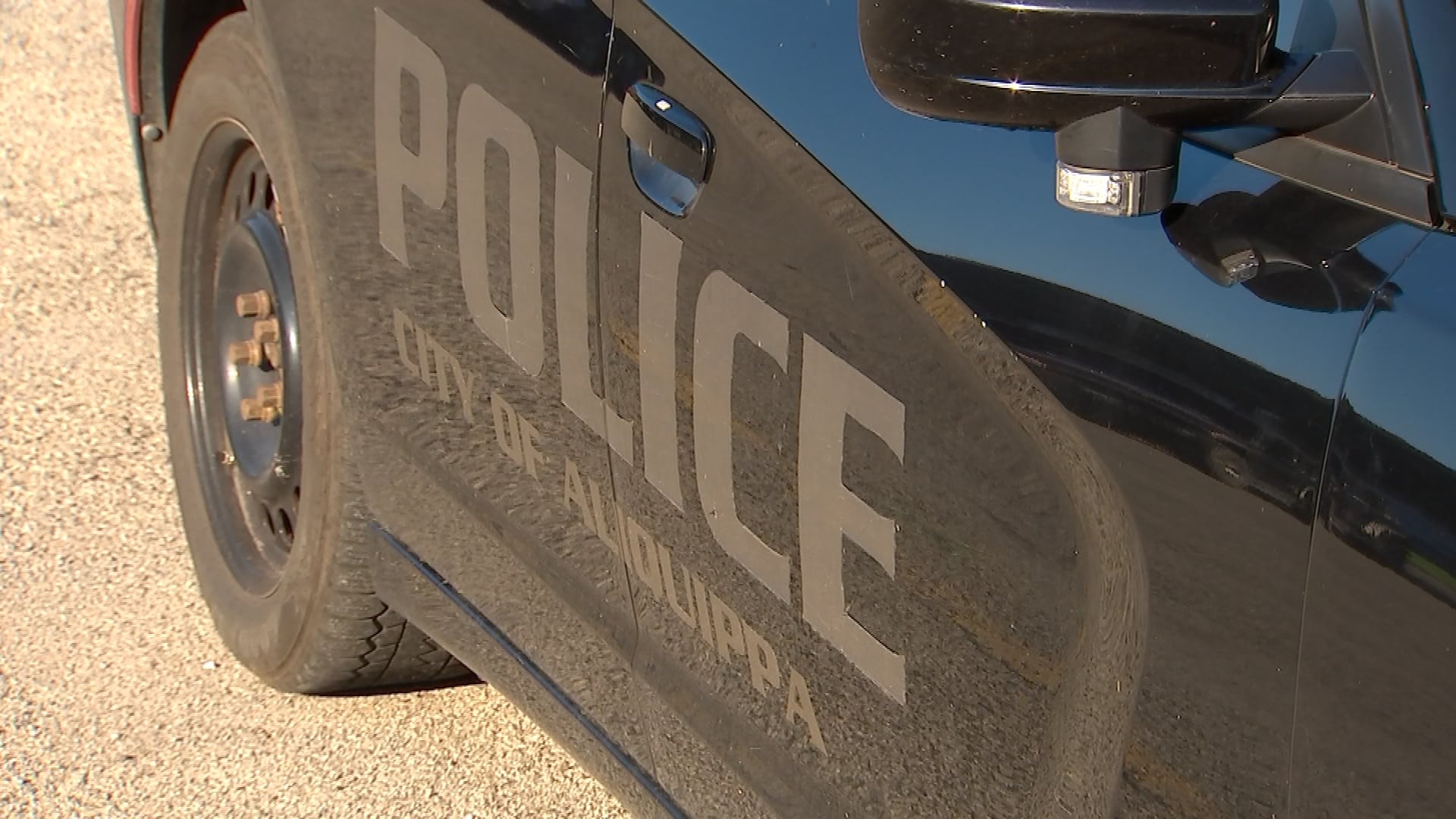 Aliquippa Man Faces Animal Cruelty Charges Following Surveillance Footage