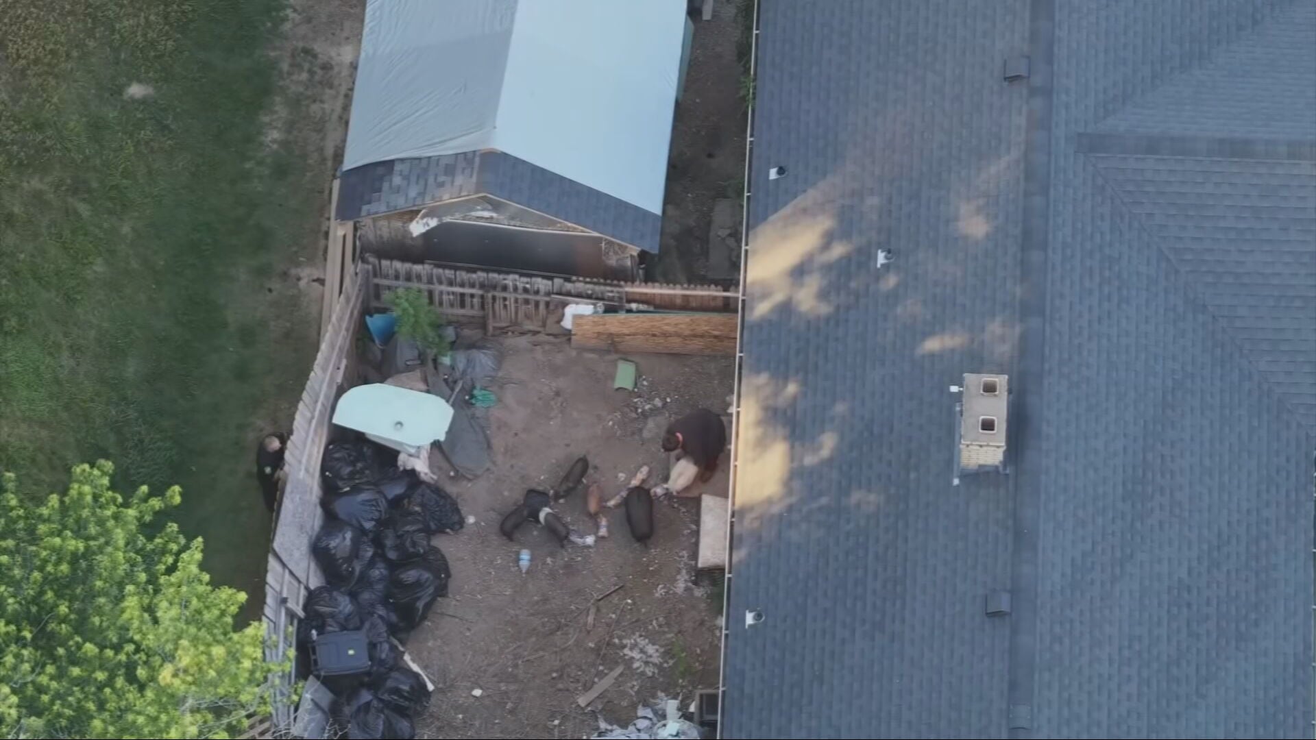 Dozens of pigs pulled from a home in Westmoreland County
