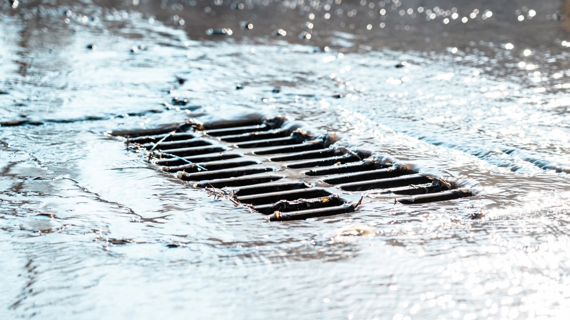 Pittsburgh Braces for Scattered Showers and Isolated Storms on Friday