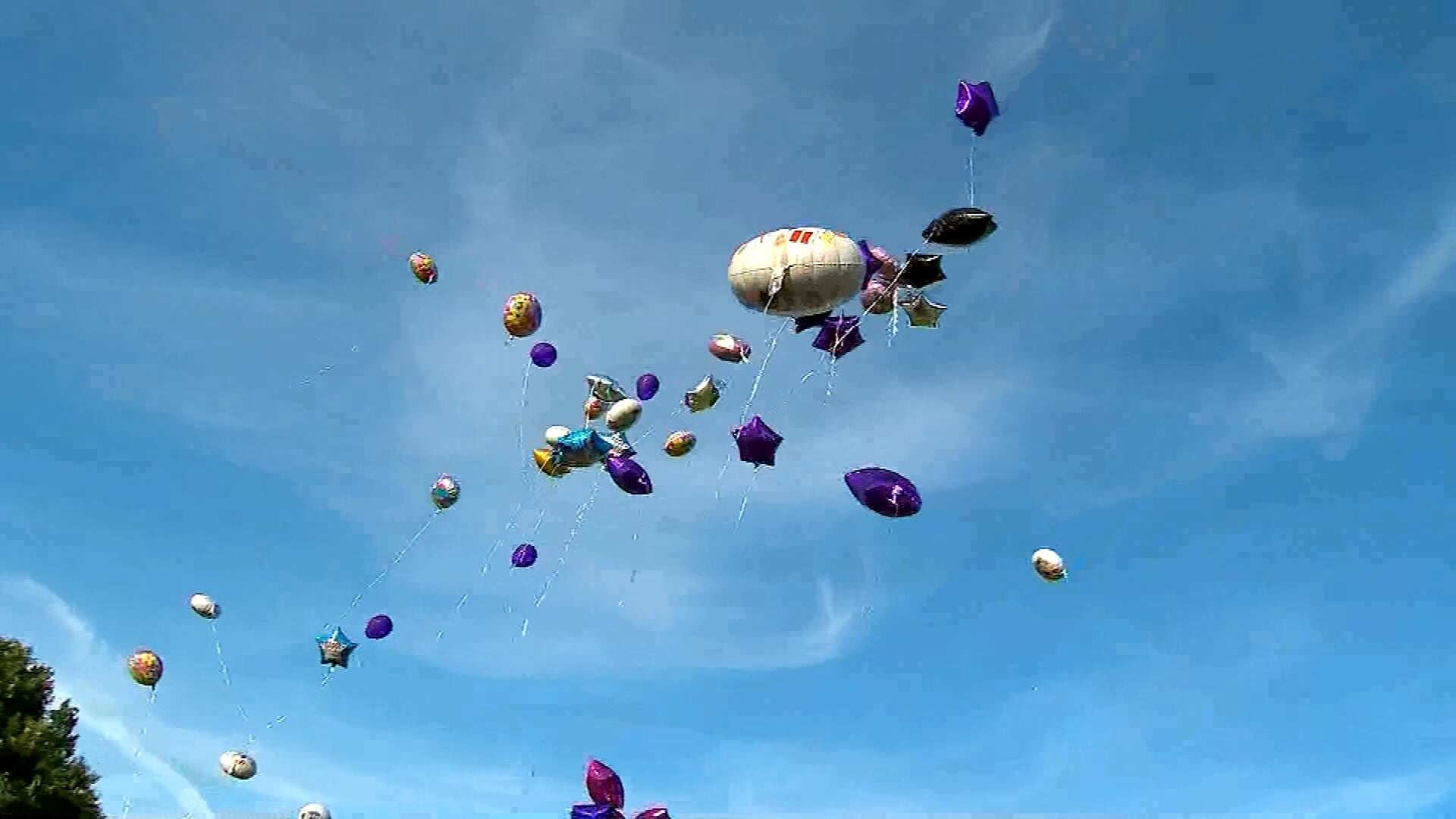 Allegheny County Parks Ban All Balloons Amid Environmental Concerns