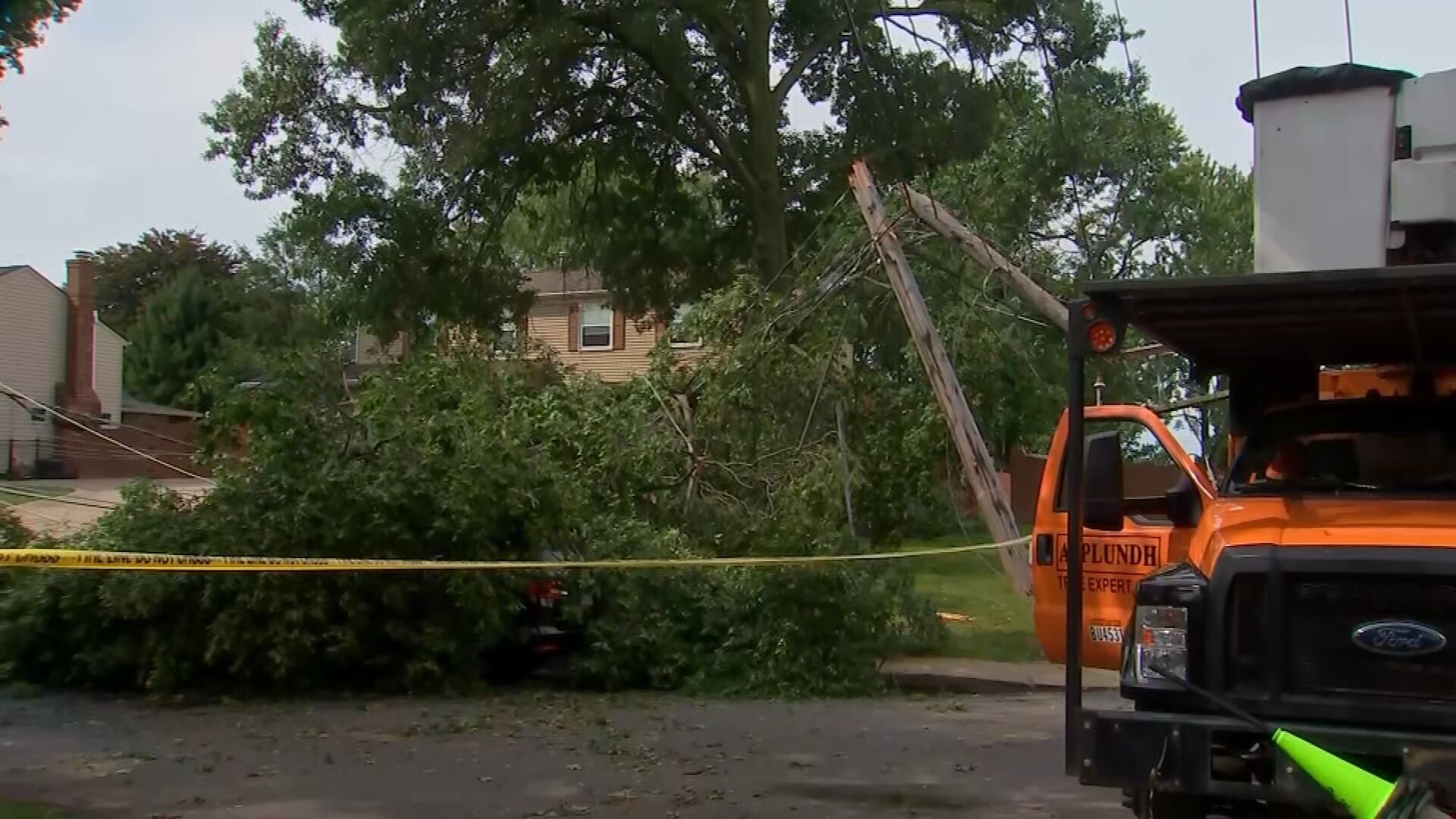 Couple Rescues Family Trapped by Fallen Tree and Power Lines in Bethel Park Storm