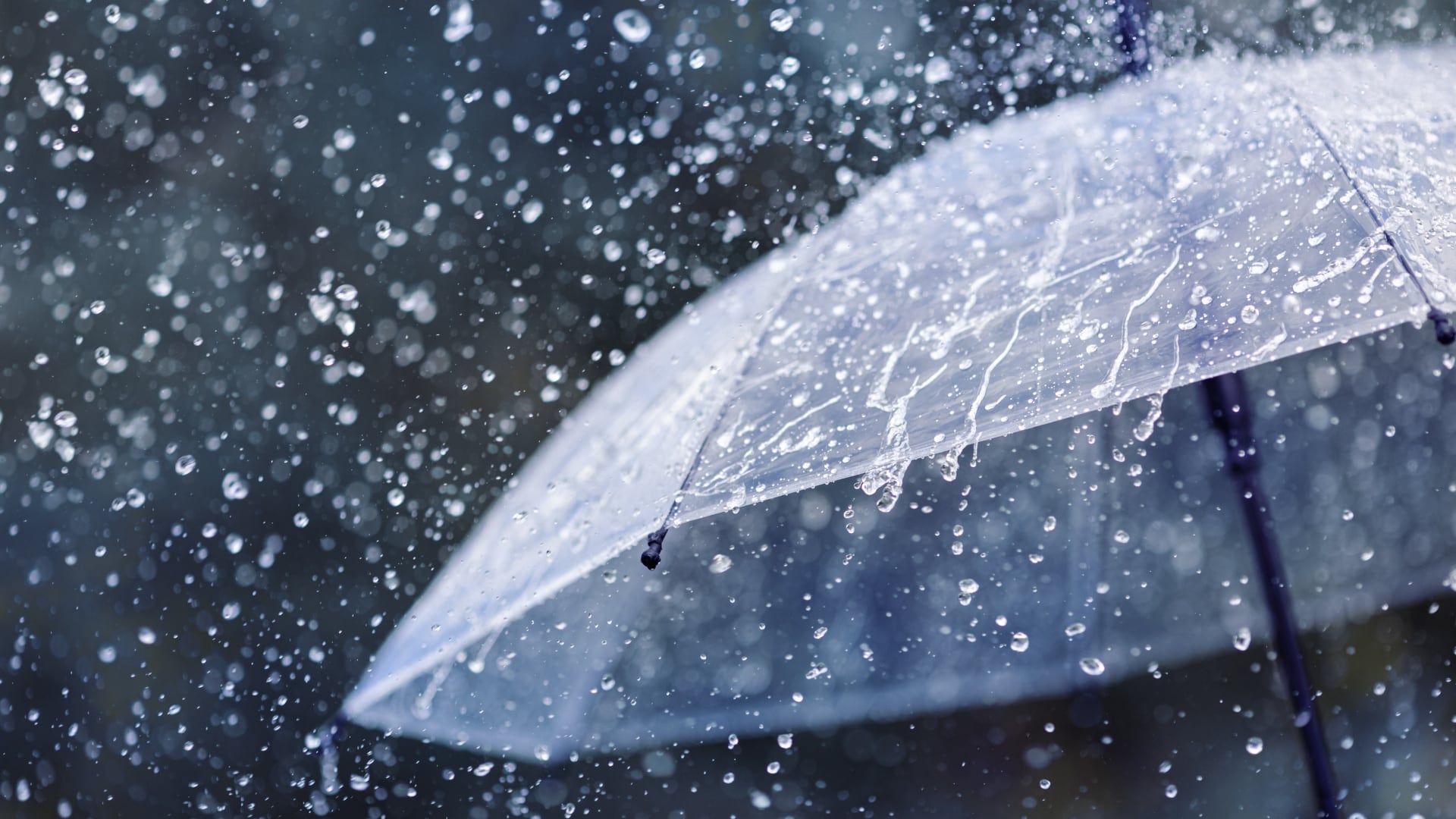 Slappers N Bangers Event Rescheduled Due to Rain