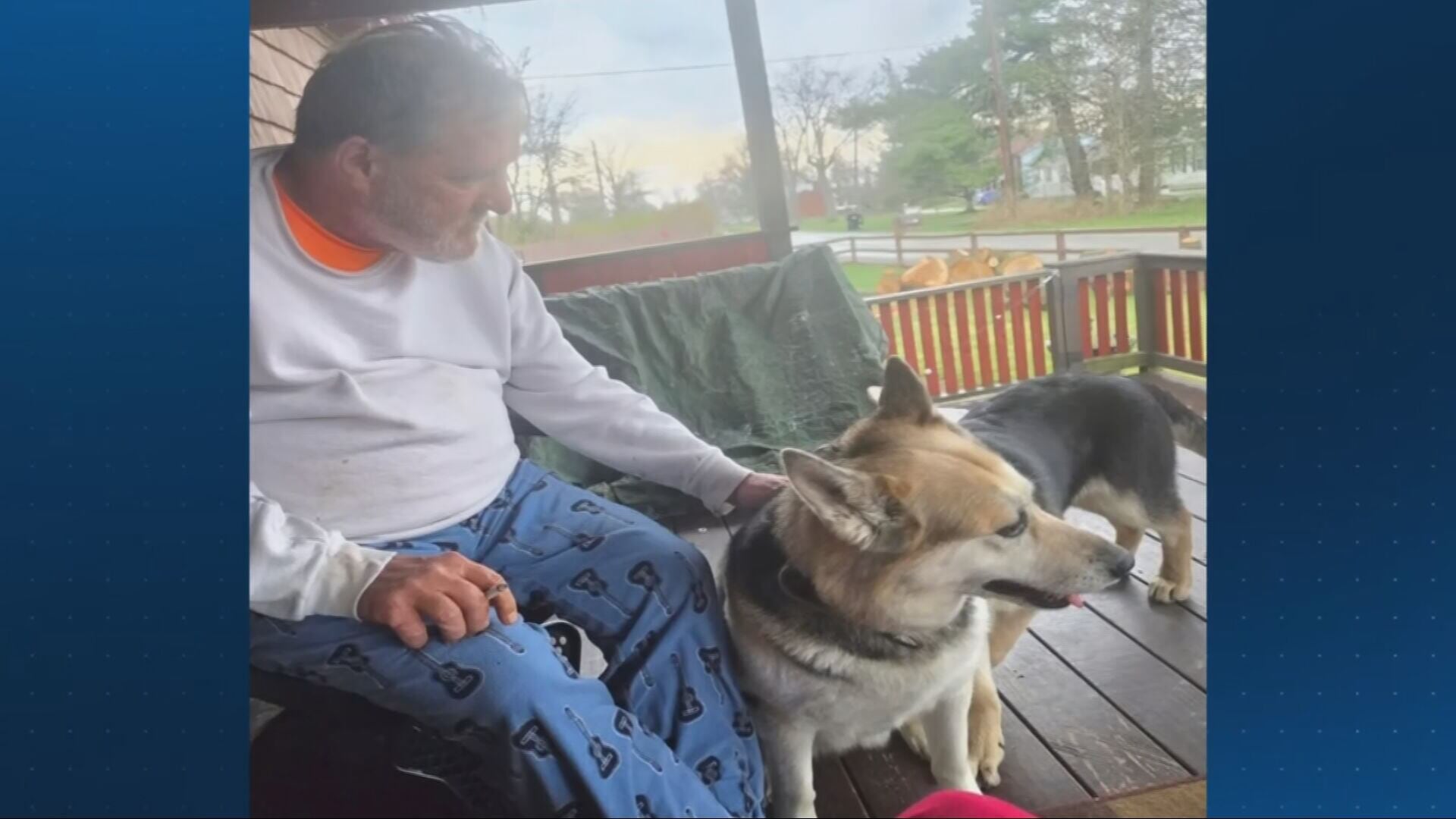 Therapy Dog ‘Asia’ Struck and Killed by Garbage Truck in North Huntingdon